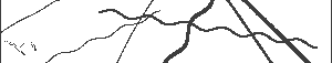 Validation Code